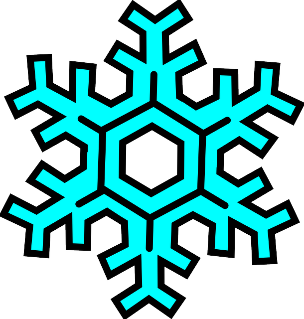 Free Vector Graphic - Snowflake Clipart Transparent Background (610x640)