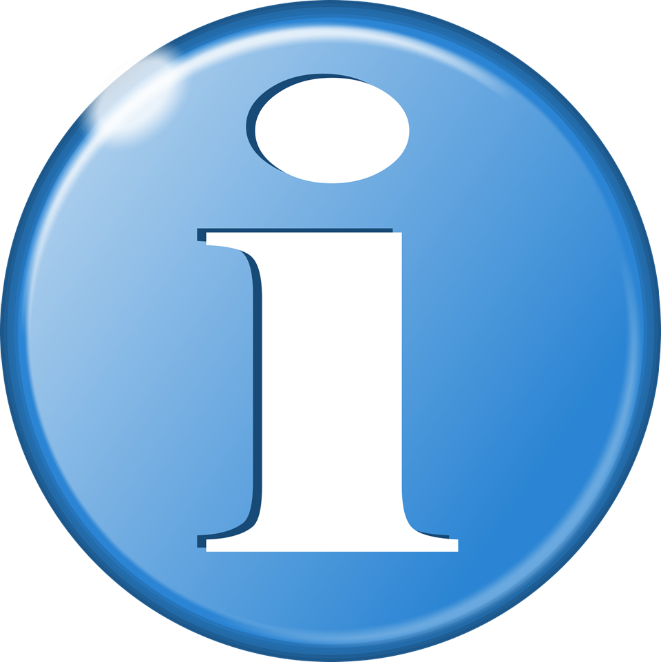 About The Summer Student Volunteer Program - Portrait Of A Man (960x961)