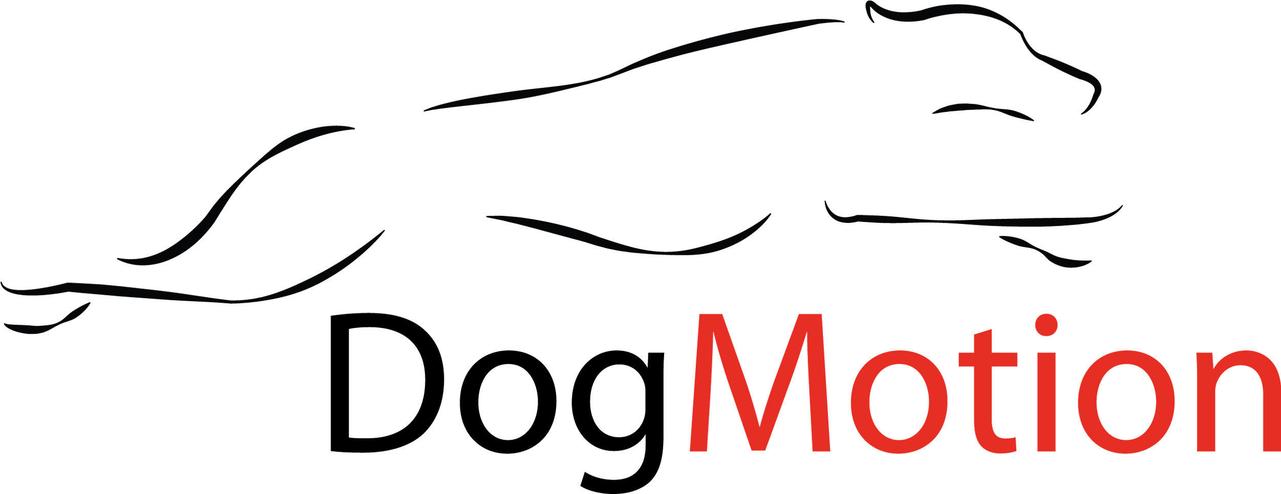 Dogmotion - Central Power Systems (2549x983)