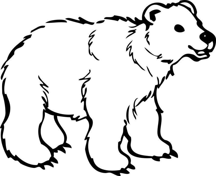 Cub Clipart Snow Bear - Bear Cartoon Black And White (886x720)