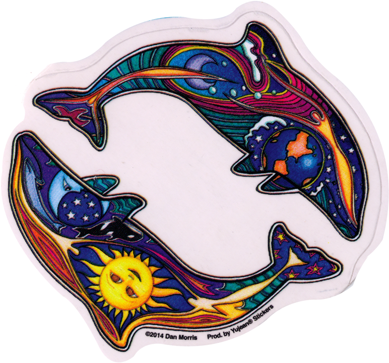 Night And Day Dolphin - Night And Day Dolphin (800x740)