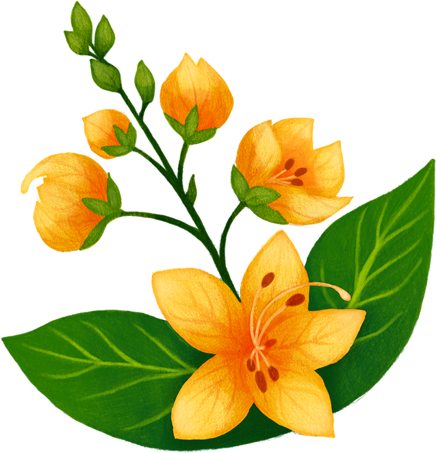 Thank You - Alstroemeriaceae (945x742)