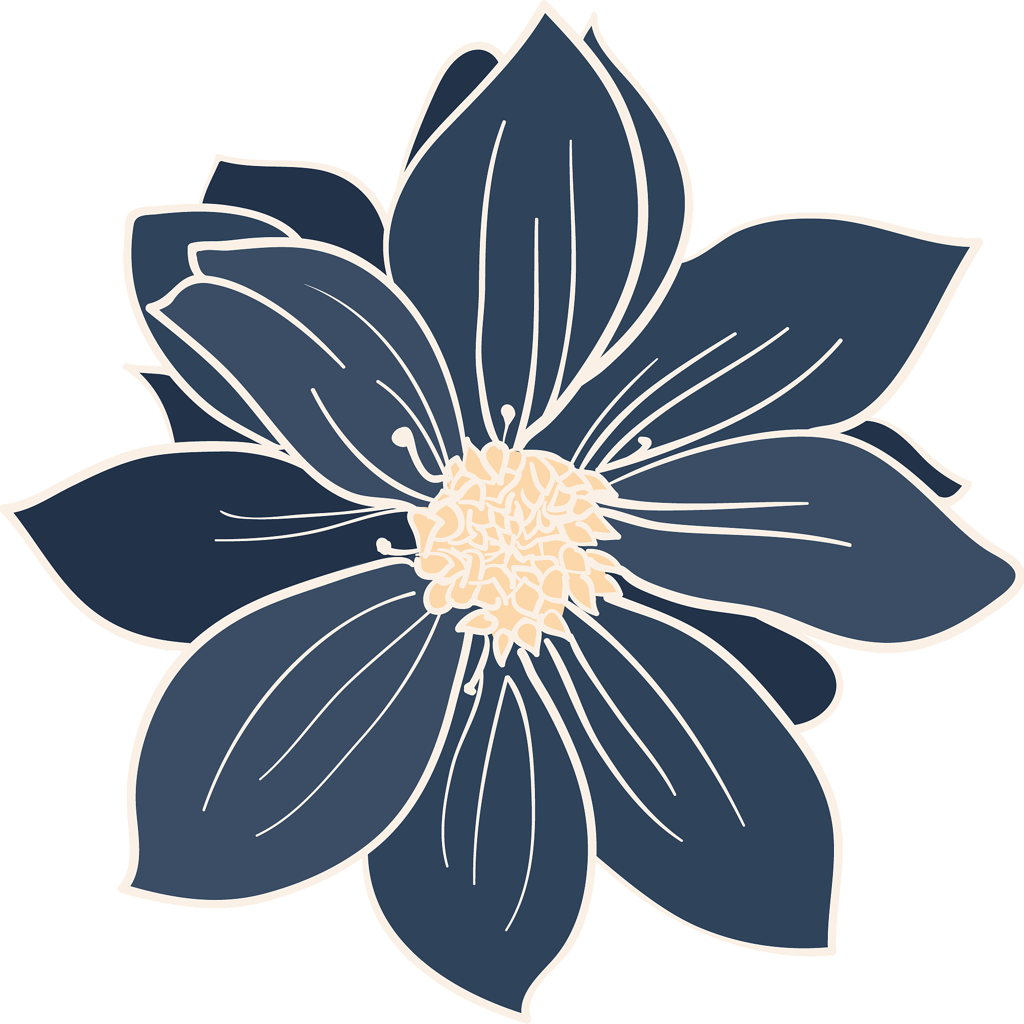 This Illustrated Floral Note Card Set Of 6 Is Perfect - Dahlie-blumenkissen Dekokissen (2004x2004)