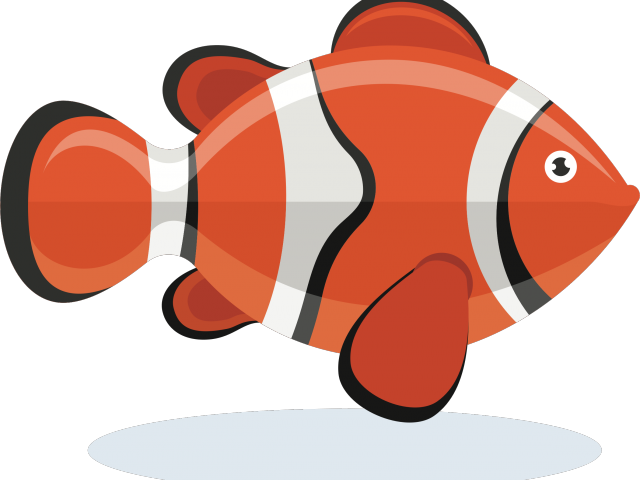 Clownfish Clipart Transparent - Clown Fish Clipart Png (640x480)