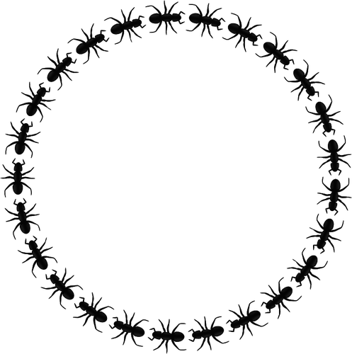 Vector Clip Art Of Ant With Six Legs - Icon Border Circle Png (497x500)