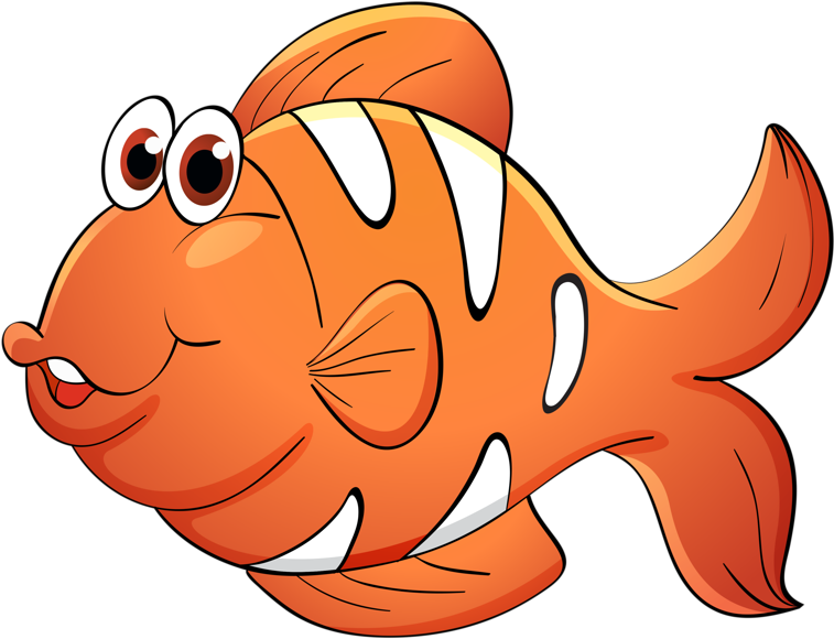 Illustration Of A Tropical Fish Royalty Free Cliparts, - First Grade Workbook: English Made Easy (800x607)