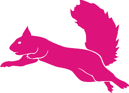 Blind Squirrel Clip Art - Flying Squirrel Trampoline Park Logo (448x321)