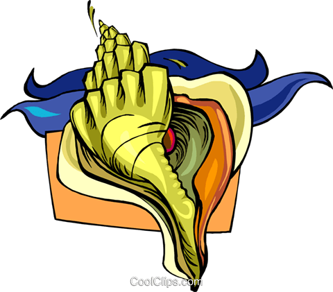 Sea Shell Shell Royalty Free Vector Clip Art Illustration - Sea Shell Shell Royalty Free Vector Clip Art Illustration (480x421)