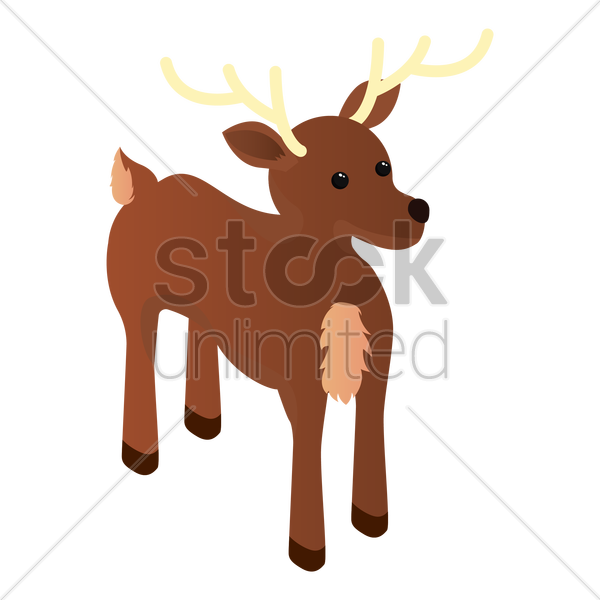 Cattle - Reindeer (600x600)