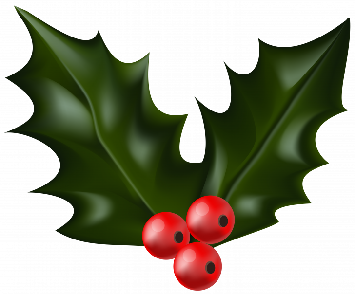 Medium Size Of Printable Mistletoe Coloring Pages Of - Mistletoe Png (728x604)