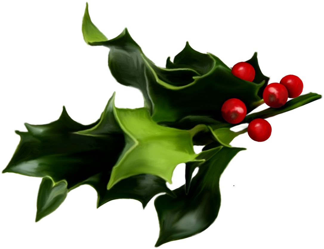 Mistletoe Png Art Whether It Is Holly, Mistletoe - Mistletoe Png (1121x854)