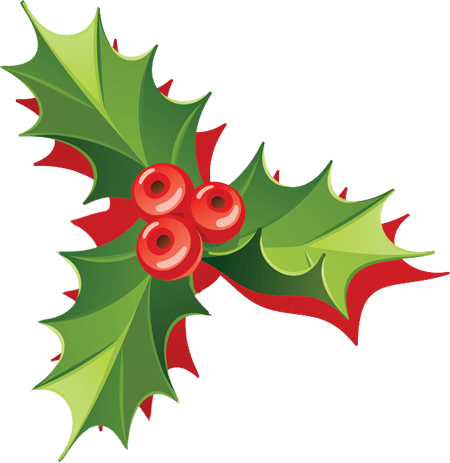 Mistletoe Png Download - Illustration (450x463)