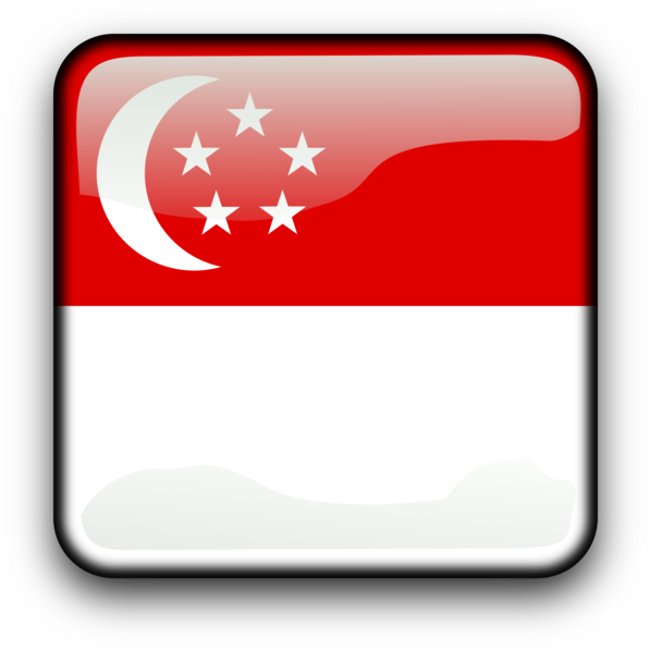 Flag Of Singapore National Flag Lion Head Symbol Of - Clip Art Singapore Flag (750x750)
