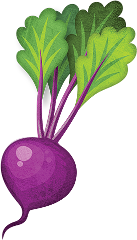 Beetroot - Turnip Png (500x500)