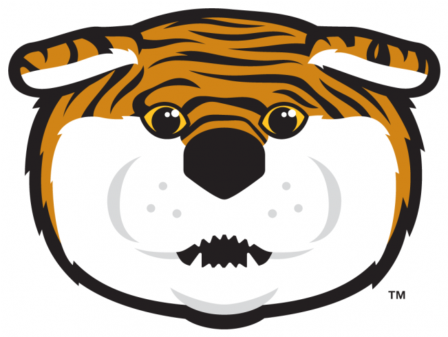 Lsu Tigers Iron Ons - Mike The Tiger Mascot Clipart (650x800)