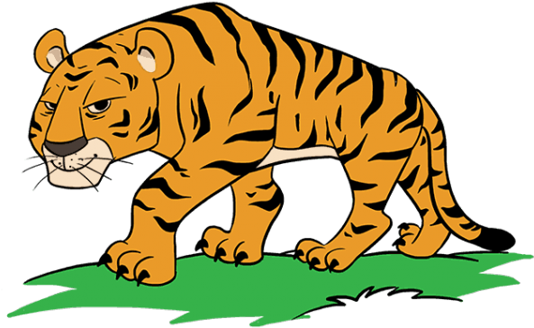 Drawn Tiger Cartoon - Tigres En Dibujos Animados - (640x480) Png Clipart  Download