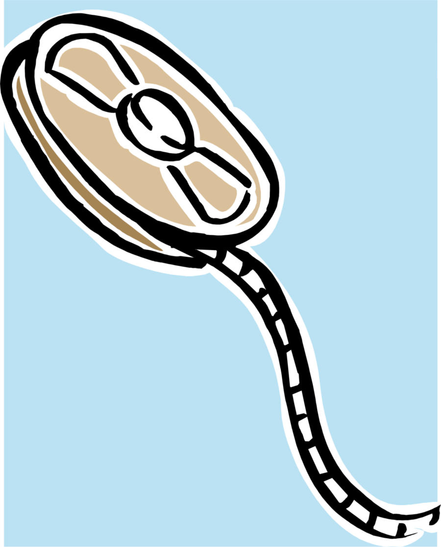 Clip Art Clipart Photographic Film Video Film Stock - Photographic Film (900x1116)