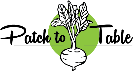 Patch To Table - Pretty Girl Dog Bandana - Pink - Small (852x315)