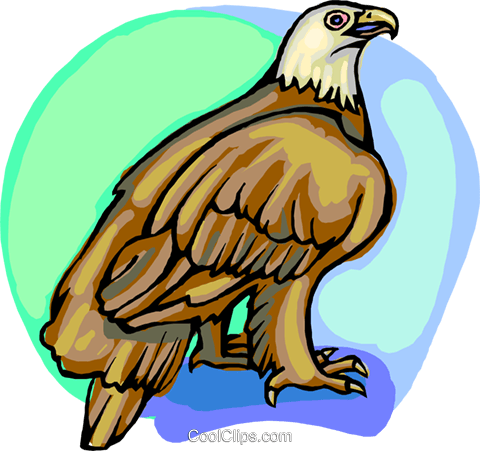 American Eagle Royalty Free Vector Clip Art Illustration - Eagle (480x451)