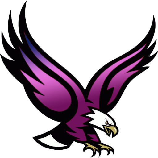 Boston College Eagle Png (512x512)