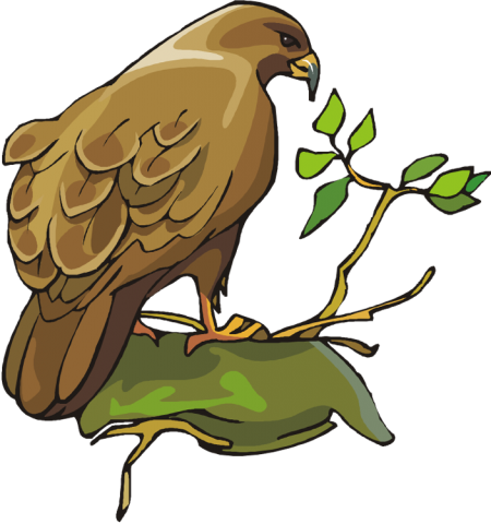 All Ages Are Invited To Attend The Birds Of Prey Program - Birds Of Prey Clip Art (450x480)