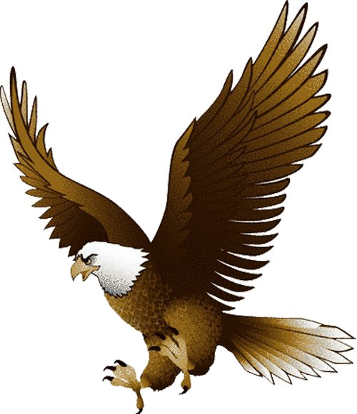 Hubbard Media Arts Academy - Ubon Umt United F.c. (500x581)