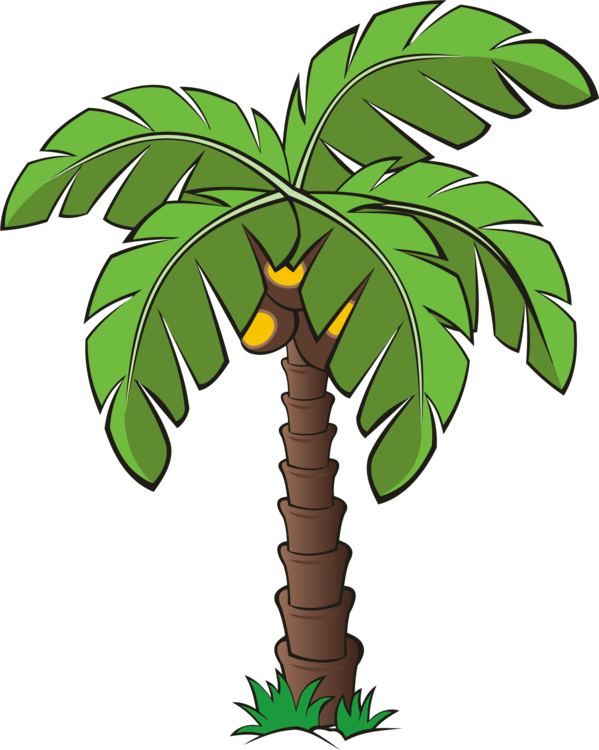 All Photo Png Clipart - Palm Tree Clipart Png (599x750)