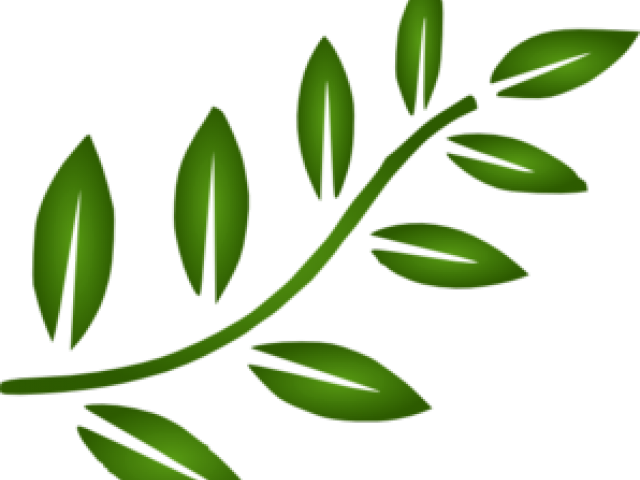 Branch Leaves Cliparts - Black Leaves Clip Art (640x480)