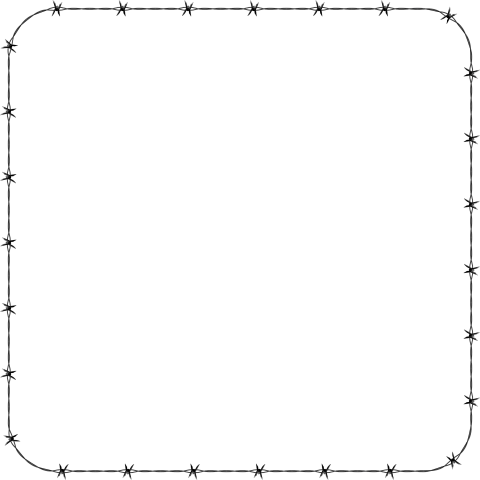 Free Png White Border Frame Png Images Transparent - Black Border Png Transparent Background (480x480)
