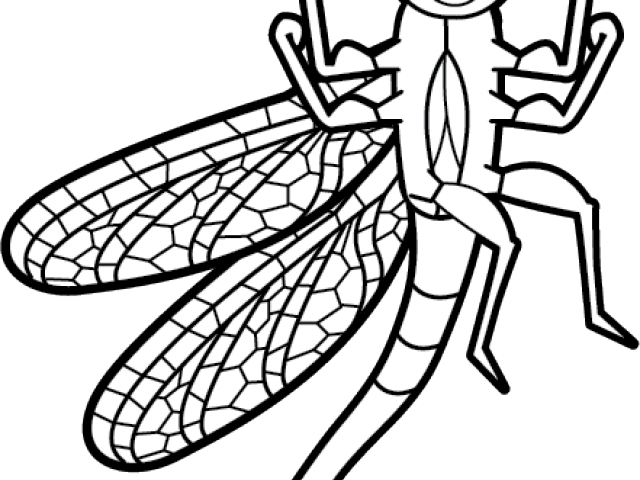 Dragonfly Clipart Black And White - Clip Art (640x480)
