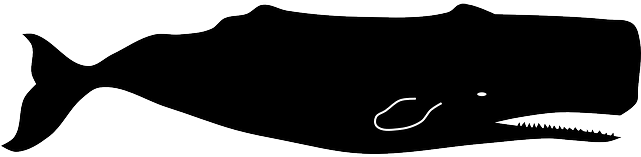 Sperm Whale Clipart - Sperm Whale Vector (640x320)