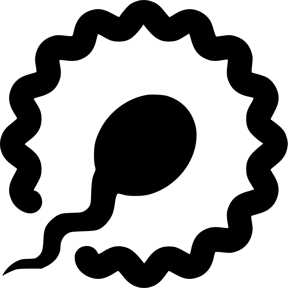 Fertilization Sperm Ovum Comments - Ovum Png (981x980)