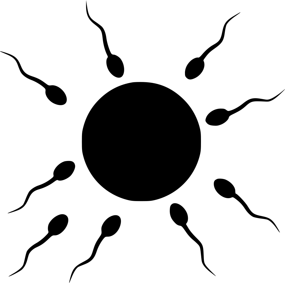 Sperm Cells Egg Surround Comments - Sperm And Egg Png (980x974)