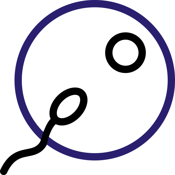 Icsi - Spermatozoon (600x600)