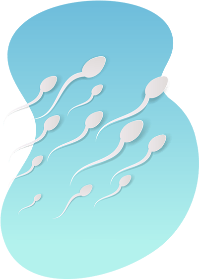 6 Little-known Facts About Sperm For Men's Health - Illustration (551x582)