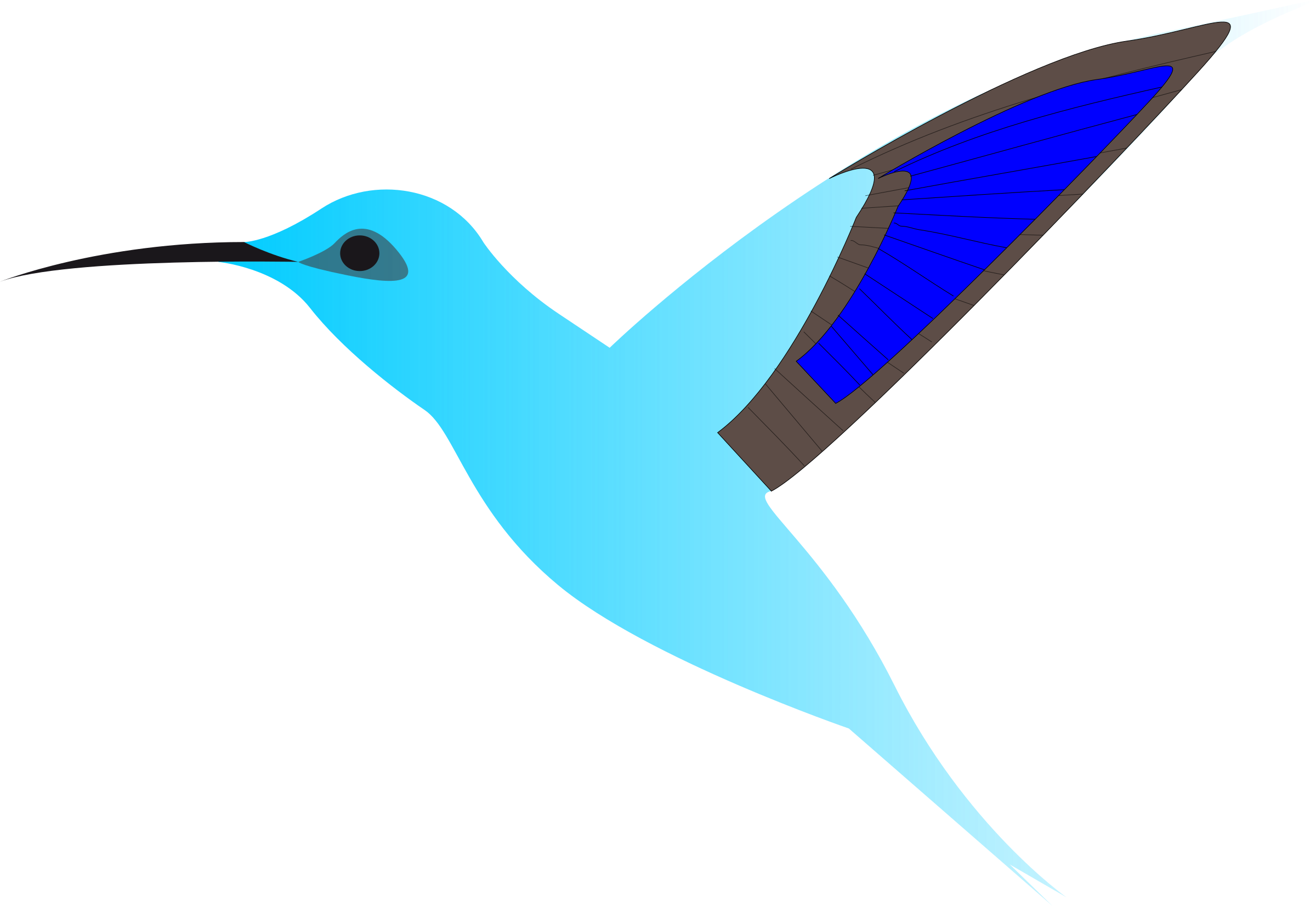 Hummingbird Flight Cartoon Wing - Burung Terbang Kartun (2400x1652)