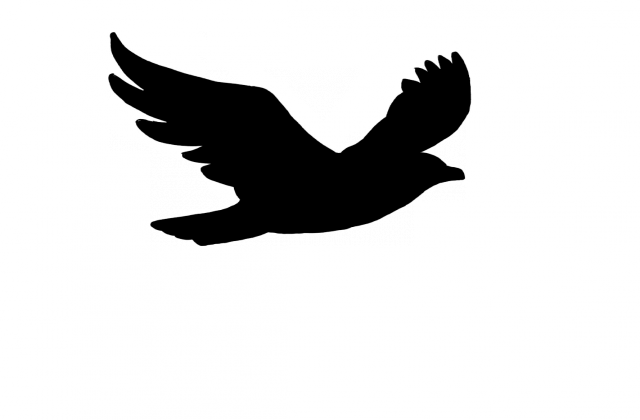 Flying Bird Silhouette Clipart Bird Flight Clip Art - Cartoon Black Bird Flying (640x420)