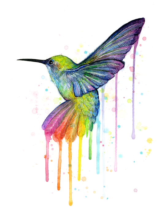 Rainbow Hummingbird Clipart Hummingbird Watercolor - Rainbow Hummingbird (538x700)