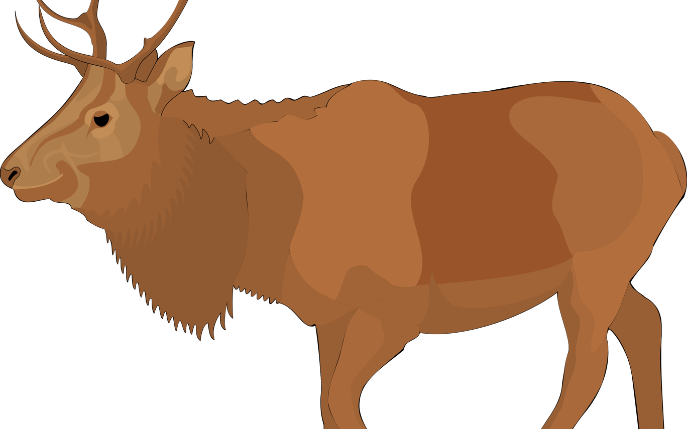 Collection Of Free Carriboo Clipart Cute Download On - Animated Elk (1368x855)