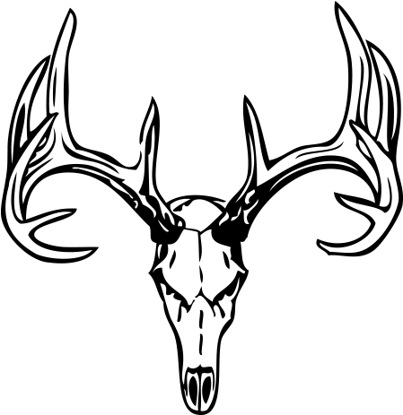 Drawings Of Deer Skulls - Man Deer Skull Tattoos (500x500)