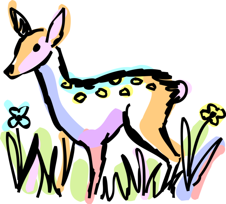 Vector Illustration Of White-tailed Or Whitetail Deer - Vector Illustration Of White-tailed Or Whitetail Deer (778x700)
