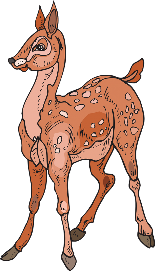 Лань Png (500x874)