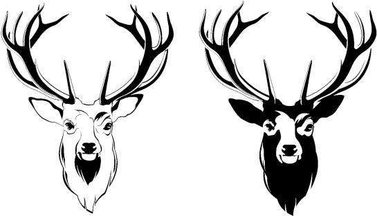 Deer Head - Deer Head Logo Png (629x360)
