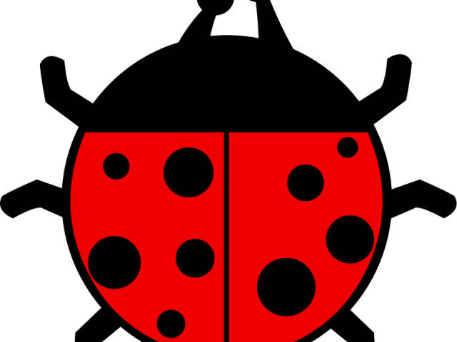 Ladybug Clipart Red Ladybug - Beetle Clip Art (640x480)