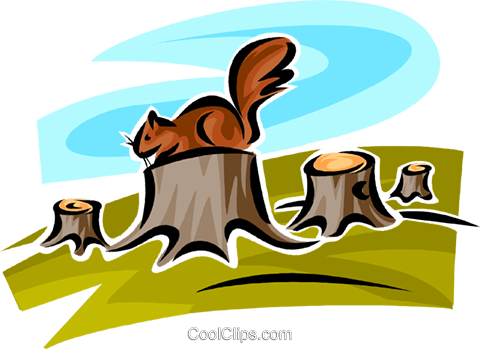 Squirrels Royalty Free Vector Clip Art Illustration - Cartoon (480x349)