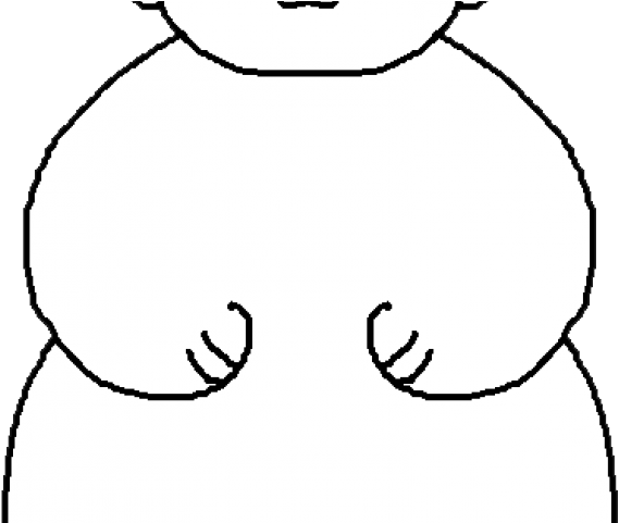 Groundhog Clipart Face - Groundhog (640x480)