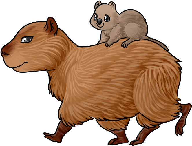 Capybara Clipart Transparent - Drawing (800x600)