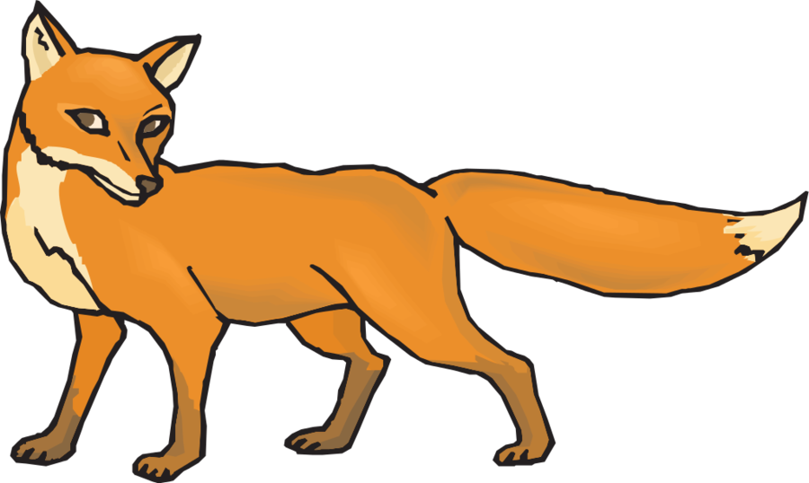 Fox Png Clipart Red Fox Clip Art - Fox Clipart Png (900x538)