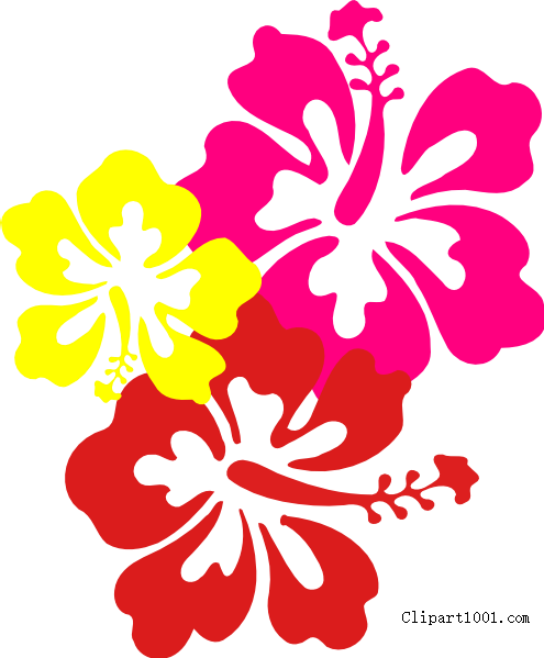 Free Hawaiian Flower Clip Art Three Flowers Printable - Hawaiian Cartoon Hibiscus Drawing (495x599)