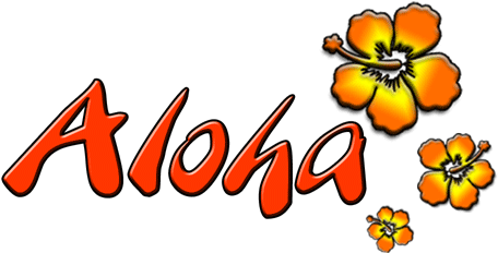 Polynesia Clipart Hawaiian Shirt - Aloha Helados (500x250)